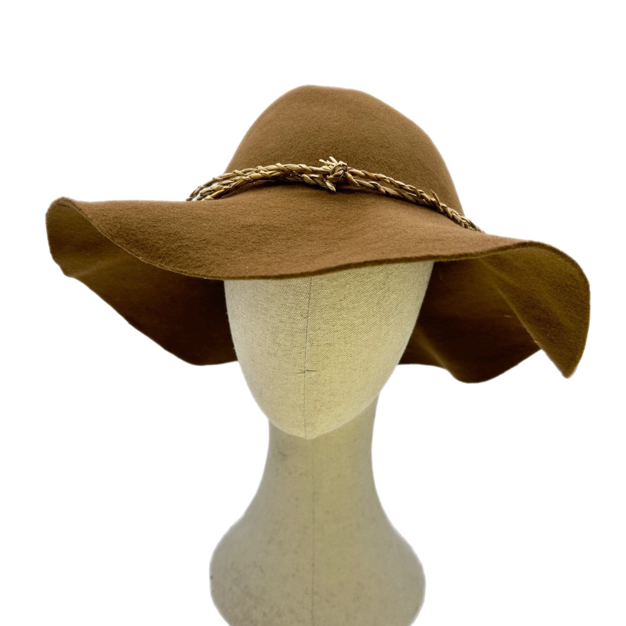 Beaver brown felt wide-brimmed hill billy hat.